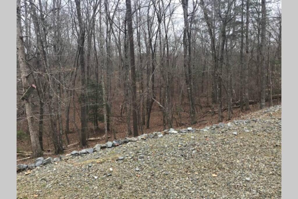 Eagle Mountain River Retreat Ellijay Exterior photo